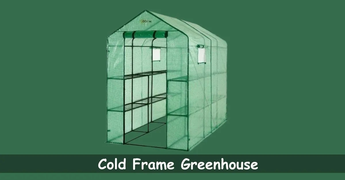 What is a Cold Frame Greenhouse? Machrus USA