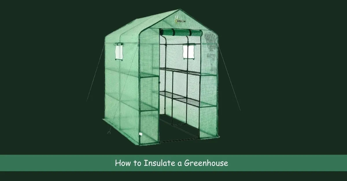 Best Practices on How to Insulate a Greenhouse Machrus USA