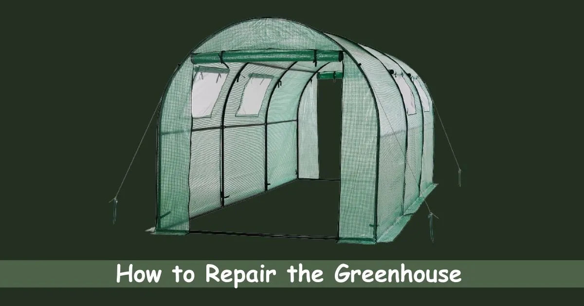 How to Repair the Greenhouse StepbyStep Guide to Repair Machrus USA