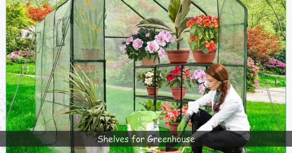 http://machrus.com/cdn/shop/articles/Shelves_for_Greenhouse_1200x1200.webp?v=1695396014