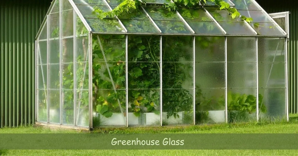 Greenhouse Glass