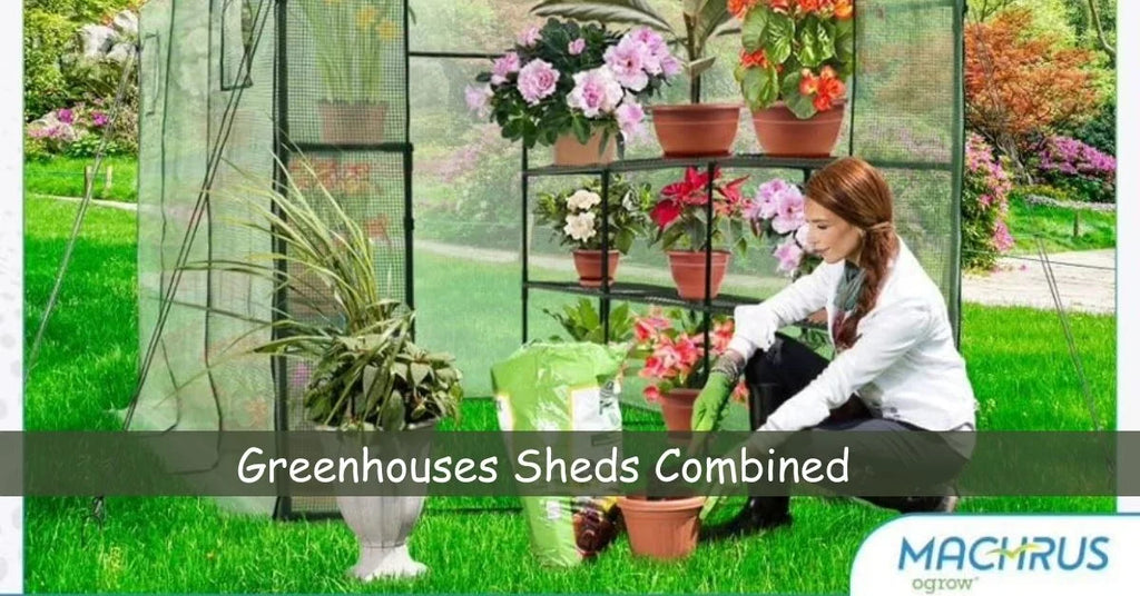 Greenhouses Sheds Combined