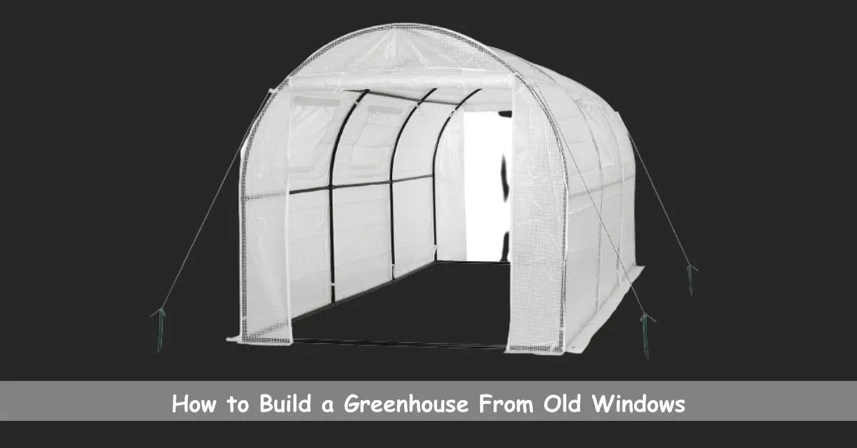 How To Build A Greenhouse From Old Windows 1200x1200.webp?v=1695384030