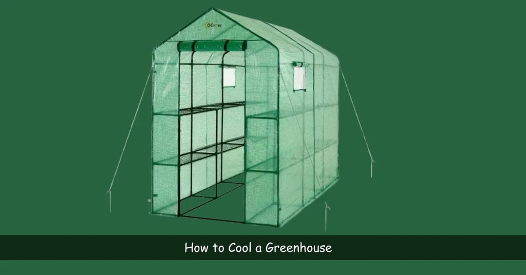 How to Cool a Greenhouse