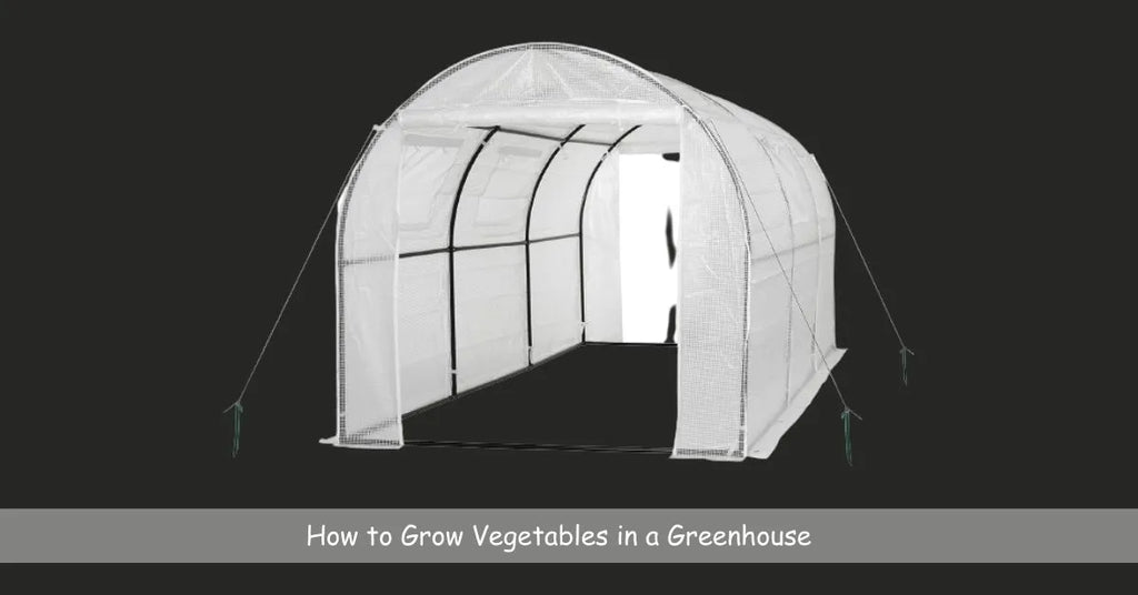 How to Grow Vegetables in a Greenhouse